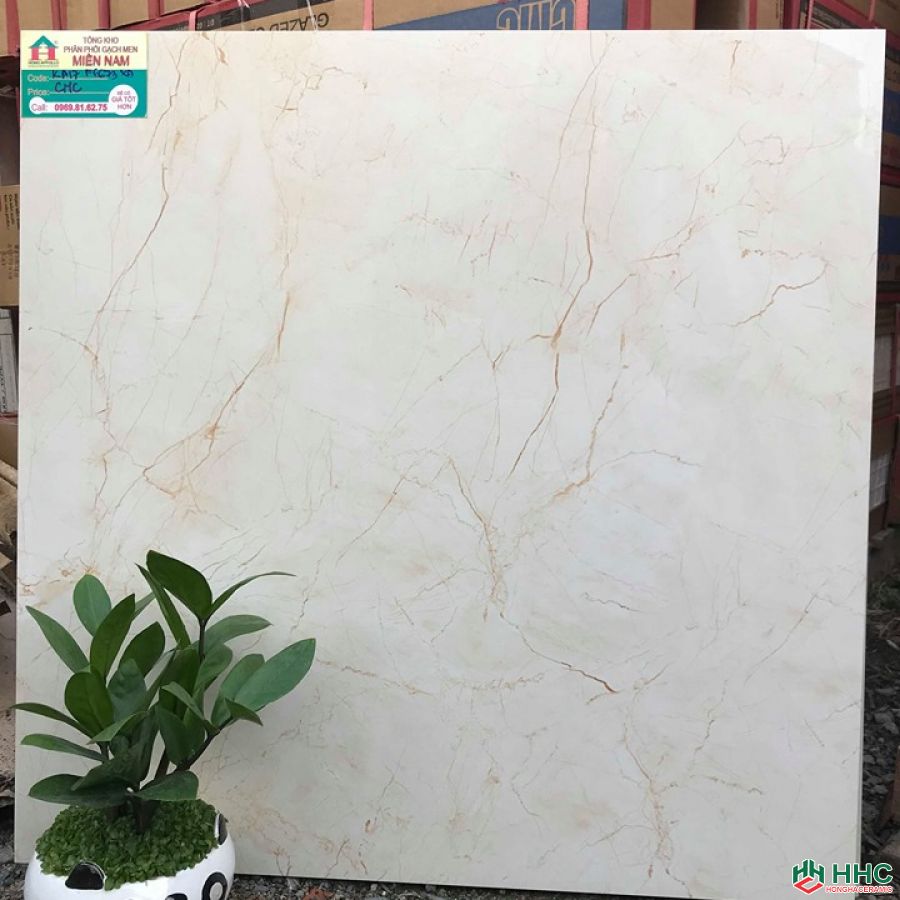 Gạch lát nền 60x60 bóng kiếng cao cấp KA17F6673